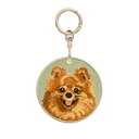 Long-Haired Brown Pomeranian