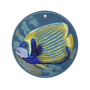 Emperor Angelfish