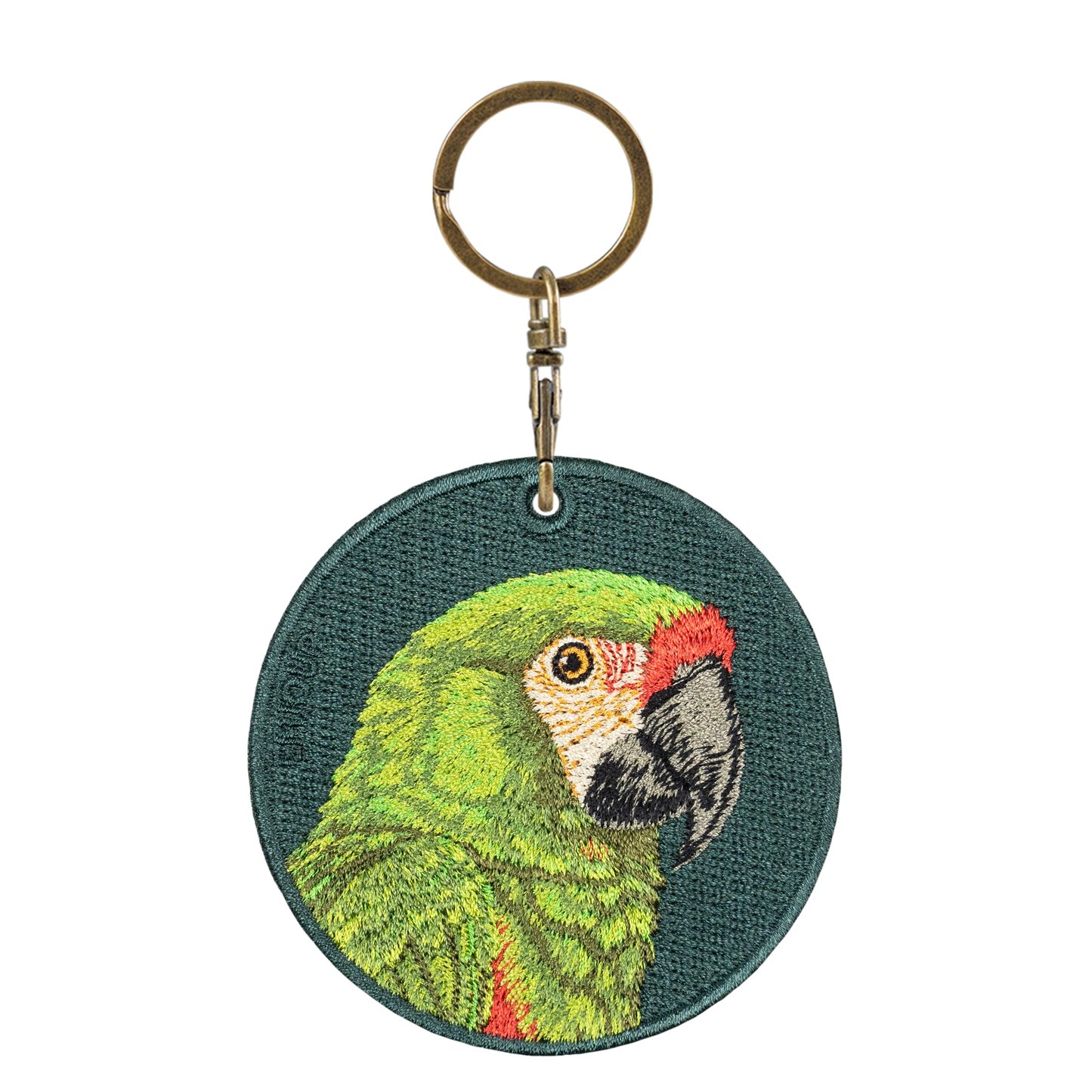 Military Macaw
