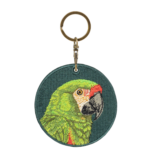 Military Macaw