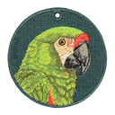 Military Macaw