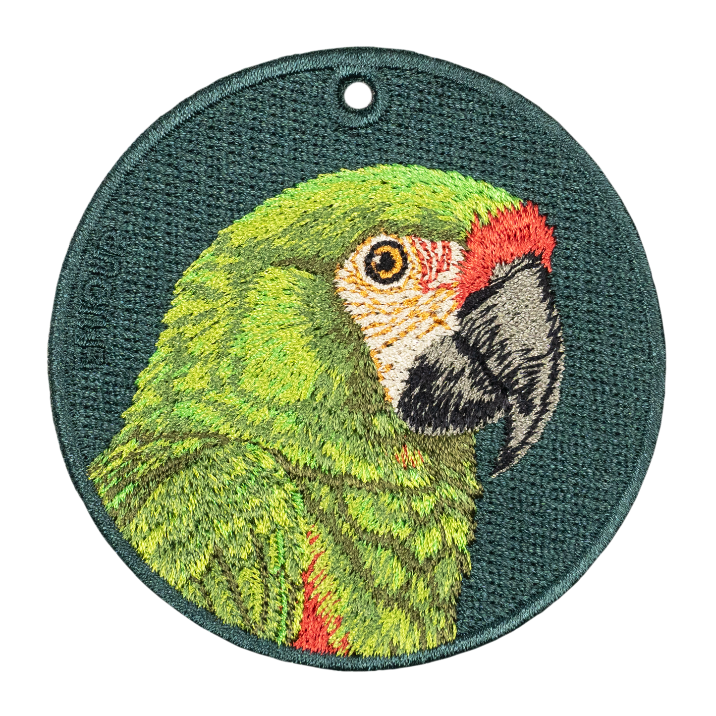 Military Macaw