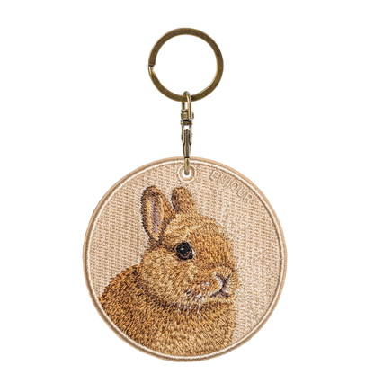 棕橘荷蘭垂耳兔