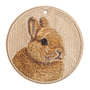 棕橘荷蘭垂耳兔