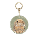 棕橘荷蘭垂耳兔