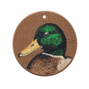 Mallard Duck