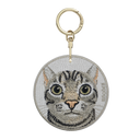 Bubble Head Daydreaming American Shorthair Cat