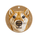 大頭柴犬