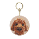Bubble Head Brown Toy Poodle