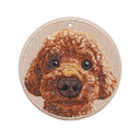 Bubble Head Brown Toy Poodle
