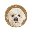 Bubble Head Bichon Frise
