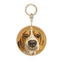 Bubble Head Beagle