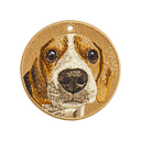 Bubble Head Beagle
