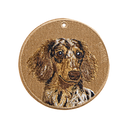 Dapple Dachshund