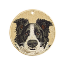 大頭邊境牧羊犬