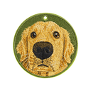 大頭黃金獵犬