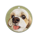 大頭西施犬