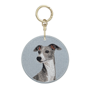 義大利靈緹犬
