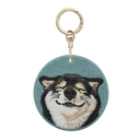 Black Shiba Inu with Airplane Ears