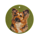 German Shepherd Mix