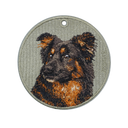 Long-Haired Black and Tan Mix