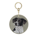 Black and White Mix Dog