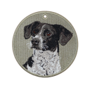 Black and White Mix Dog