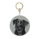Black Dog