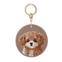 Caramel Maltipoo