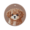 Caramel Maltipoo