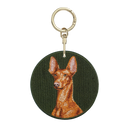 法老王獵犬