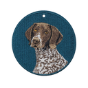 German Shorthaired Pointer