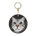 Bubble Head American Shorthair Cat