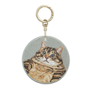 Chubby Tabby Cat