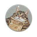 Chubby Tabby Cat