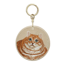 Chubby Orange Cat