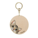 Peeking Tabby Cat