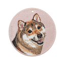 Sesame Shiba Inu
