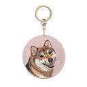 Sesame Shiba Inu