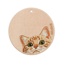 Peeking Orange Tabby Cat