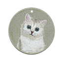 Silver Shaded Cat