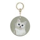 Silver Shaded Cat