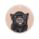 Black Mini Pig