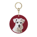 White Schnauzer