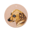 Guilty Yellow Dog