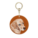 Guilty Labrador Retriever