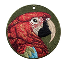 Scarlet Macaw