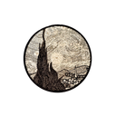 Black & White Starry Night