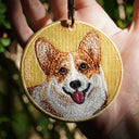 Corgi