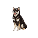 刺繡貼紙 - 黑柴犬